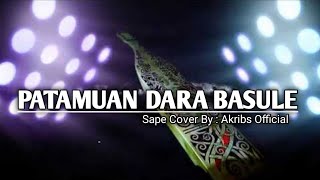 Patamuan Dara Basule || Cover sape || Lagu Dayak Kalimantan Barat
