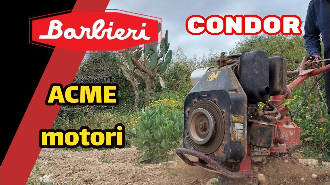 Motozappa Diesel Bricoferr 250CC 6HP – 2 Velocità Avanti E Retromarcia, Frese 110 Cm, Ruote 400x8, Per Lavori Agricoli Pesanti - Foto 5