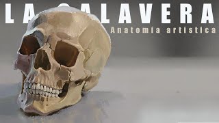 Cómo DIBUJAR el CRÁNEO HUMANO: Anatomía para artistas | Heavy Paint