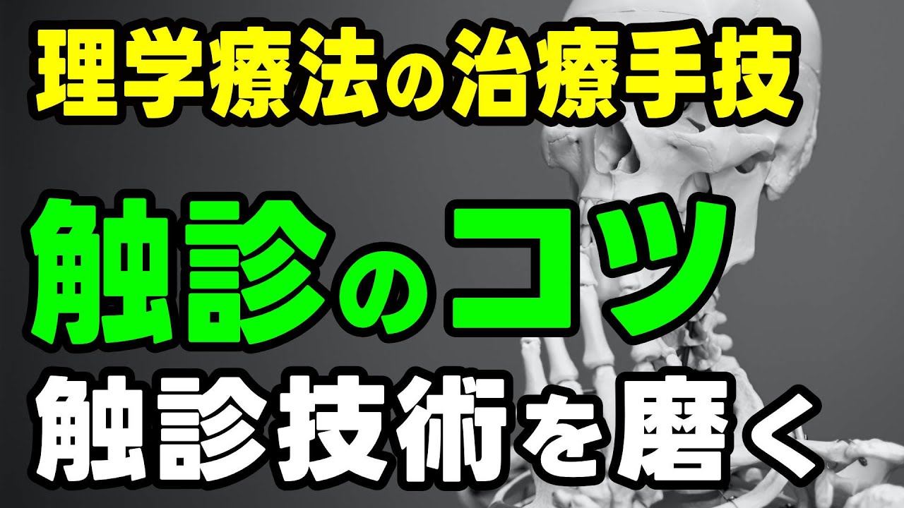 理学療法の治療手技】触診のコツ・触診技術を磨く - YouTube