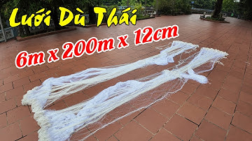Lưới Dù Đánh Hồ | Cao 6m x 200m x 12cm Sợi 4 - Phao Quả Bàng Không Chì || luoi danh ca a trung