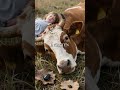 Giftiger See tötete 1700 Menschen über Nacht - ohne dass sie es merkten