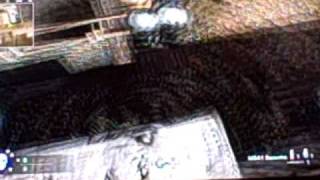 COD5 Hangar roof glitch