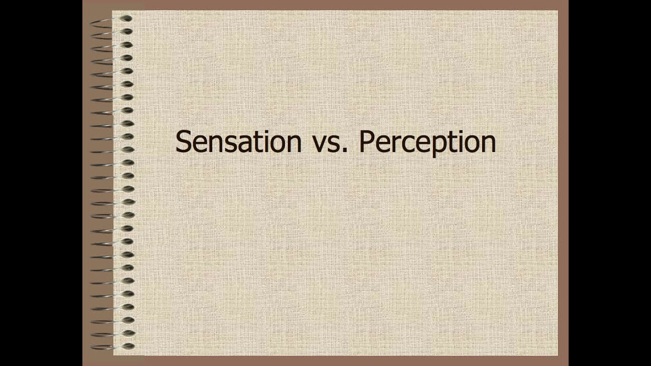 Sensation and perception Sensation and perception