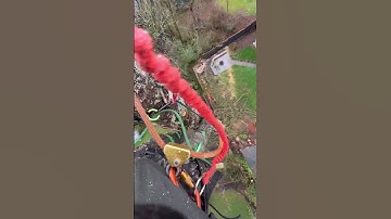 CUTTING TREE TOP #chainsawman #stihl #arborist #story #husqvarna #logging