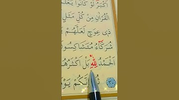 سورة الزمر الأية 29 إلى 31 القارئ سعد الغامدي