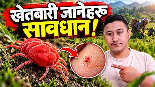 Scrub Typhus Explained in Nepal | Symptoms, Causes, Treatment & Prevention screenshot 1