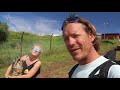 Finding food on Easter Island  | Ep.70