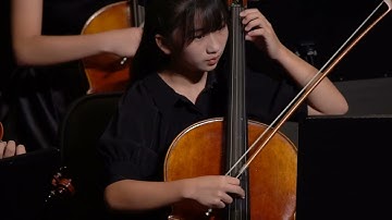 Serenade for Strings, Mov.6 Finale, Carl Reinecke 20231112   布萊梅弦樂團