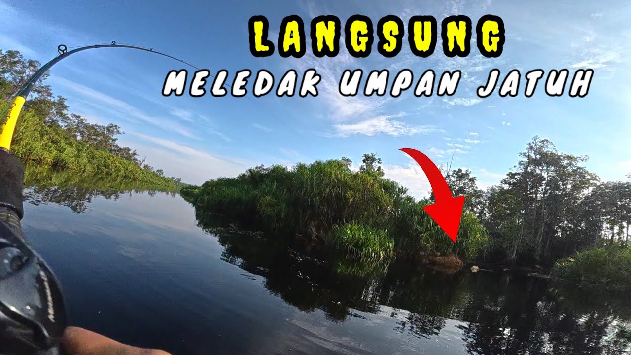 Fishing Camp‼️Memasak Dan Berburu Predator Air Hitam Dipedalaman Hutan Kalimantan