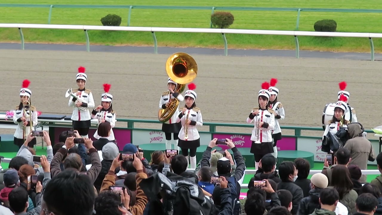 20221103 JBC盛岡 8Rジュニアグランプリ（M1） TTF生ファンファーレ（岩手重賞）