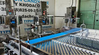 The order for the United Arab Emirates is ready Typhoon Pro Max 40 kg/h and Moulder.