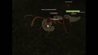 How To Hatch In Ant Life