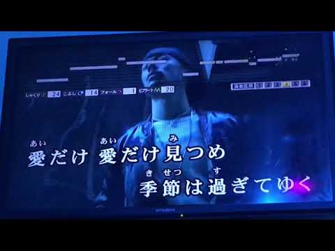 陽のあたる場所 cover
