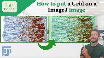 How to put a Grid on top of a image using ImageJ #imagej #fiji #grid #science #analysis #image