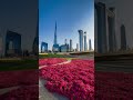 Mesmerising Dubai. #dubai #burjkhalifa #dubailfe #uae #fyp