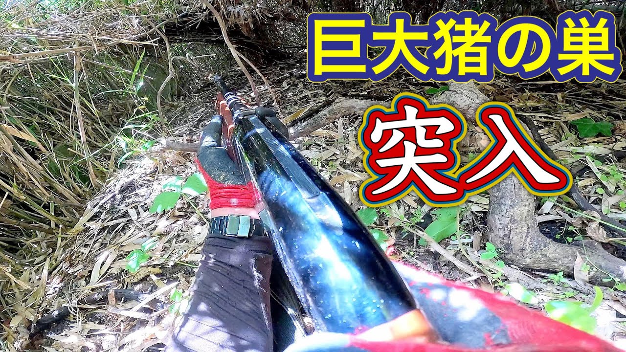 巨大イノシシの巣の中に突撃した猟犬見習いアスカを地べた這いずり回って追いかける