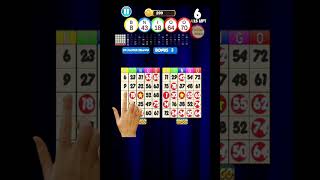 Bingo: New Free Cards Game Vegas and Casino Feel screenshot 2