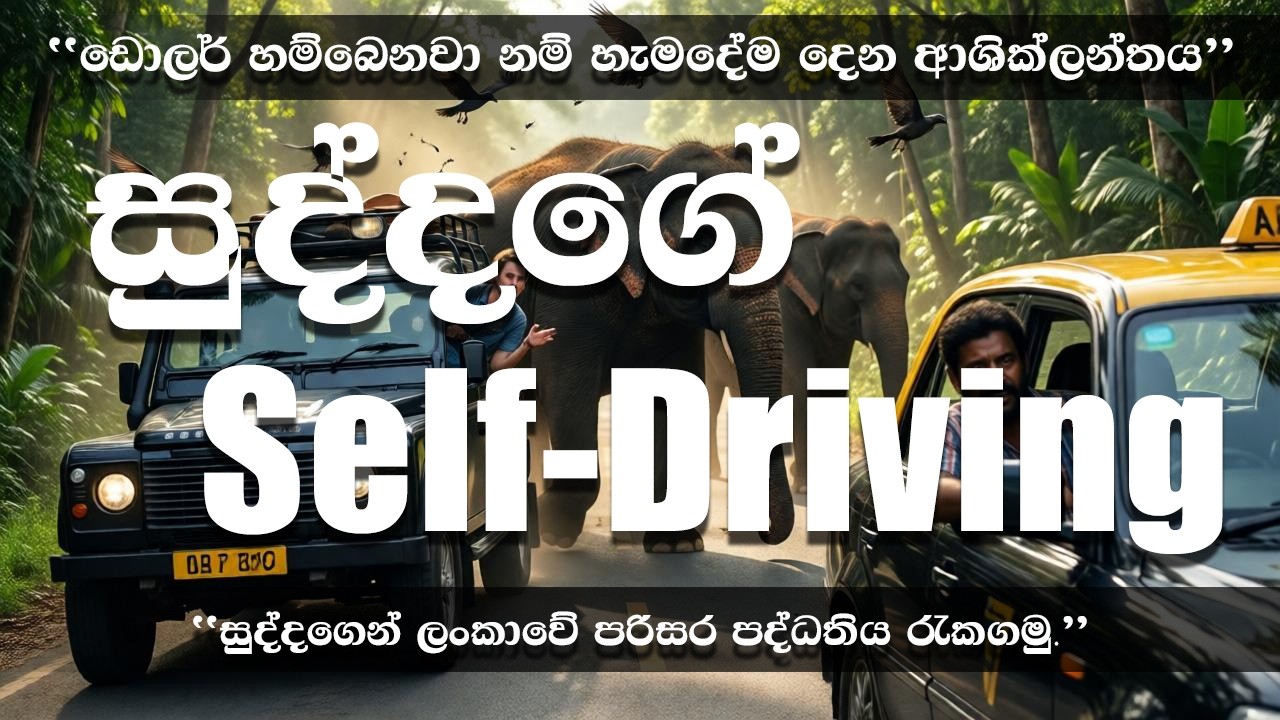 වනජීවී & Environment අවදානමක් ⚠️ Foreign Self-Driving Issue එකේ ඇත්ත