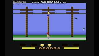 Lineman! - Bird Punching