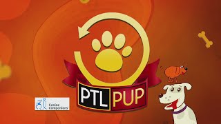 PTL Pupdate: New Canine Companions pup on the way