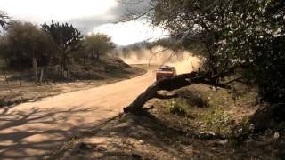 Rally Catamarca palo labrado 4