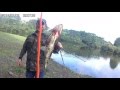 bowfishing pesca com arco 2016 carpa2