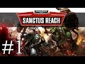 Warhammer 40K Sanctus Reach - Wolf Ridahs - Let's Play Sanctus Reach Gameplay