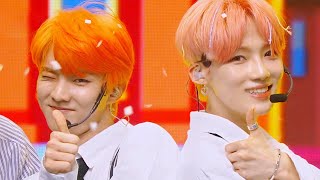 THE BOYZ - Bloom Bloom [Music Bank Ep 978]