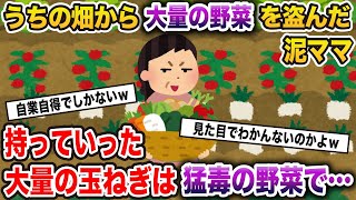 我が家の畑から野菜を盗んでいく泥ママ。しかし持っていった大量の玉ねぎは食べたらやばい猛毒の野菜で…【2ch修羅場スレ・ゆっくり解説】