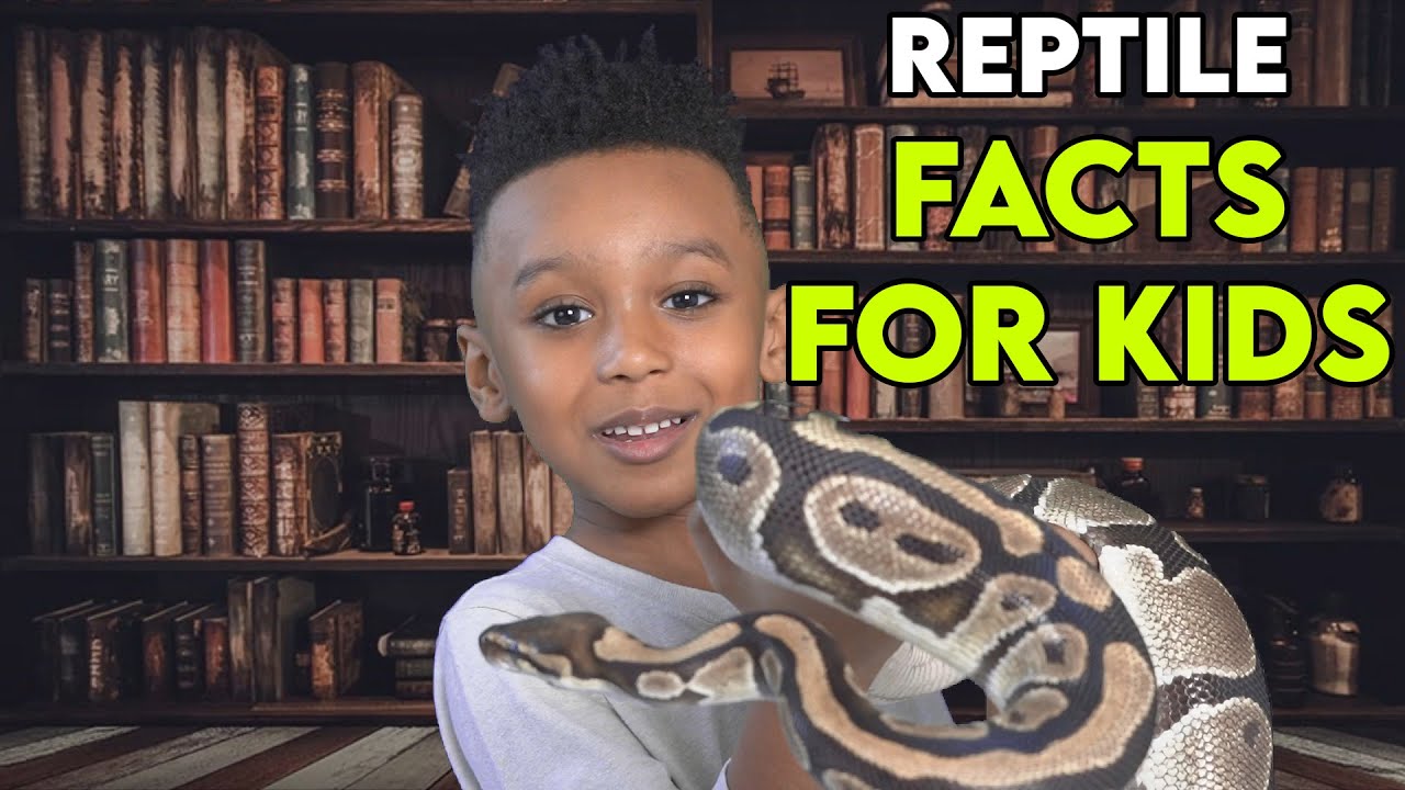 REPTILE FACTS FOR KIDS (SMART KID UNIVERSE) - YouTube