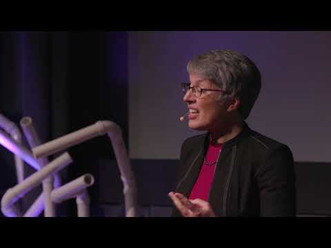 Mikroplasty: Známe, neznáme a činy | Sheila Hemami | TEDxBeaconStreet