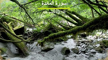 القرآن الكريم بصوت جميل - الشيخ محمد الفقيه - سورة المائدة 51-66