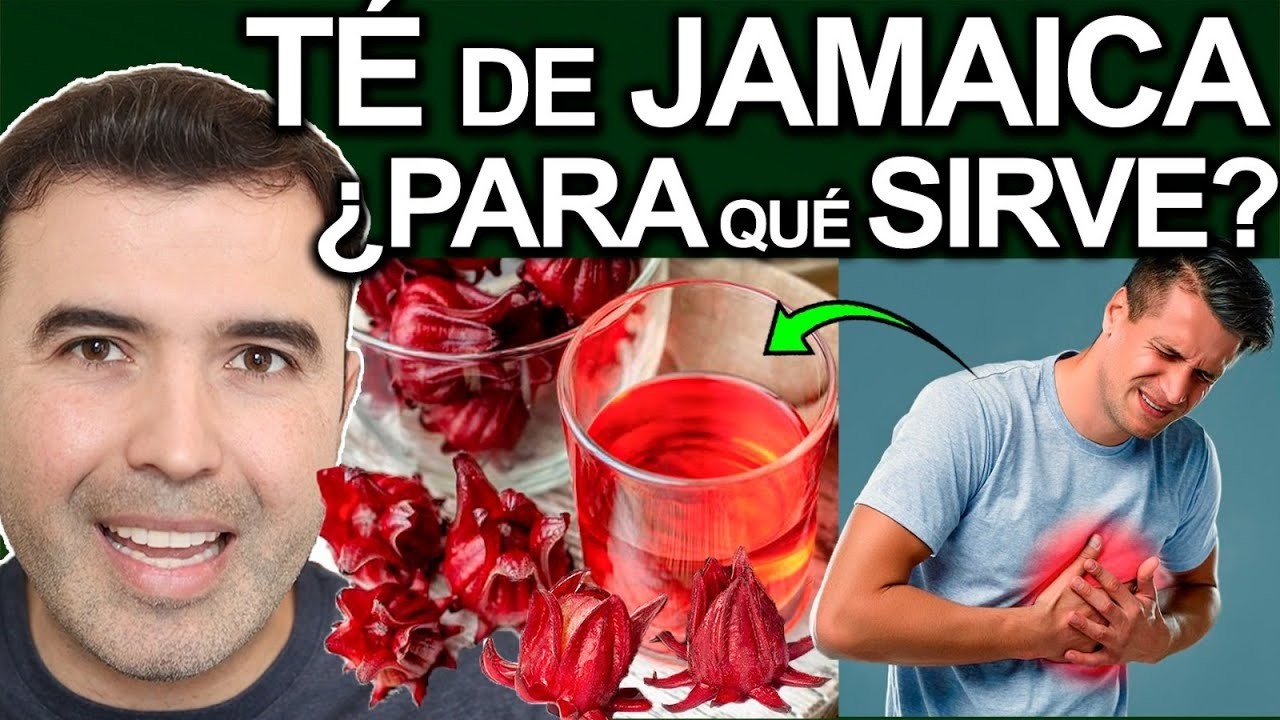 TE DE JAMAICA TODOS LOS DIAS - 8 NUEVOS BENEFICIOS