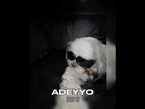 Adeyyo-Speed up