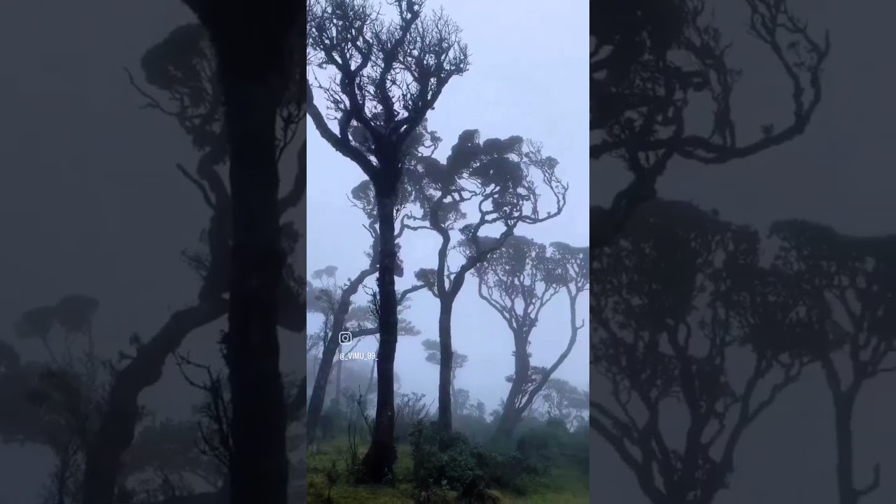 Chariot path🥶🏕️ 