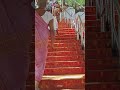 Tirumala Tirupati  Temple Hill Footpath video.           #viralvideo , #tirupati , #tirumala
