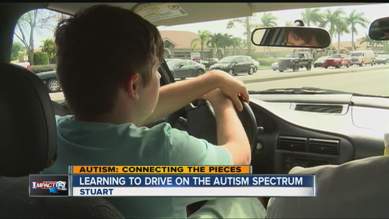 Image result for Autism and driving