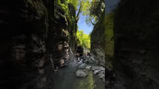 Верховье реки Западная Догомыска / Upper reaches of the Western Dagomyska River