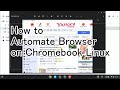How to Automate Browser on Chromebook Linux