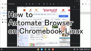 How to Automate Browser on Chromebook Linux screenshot 5