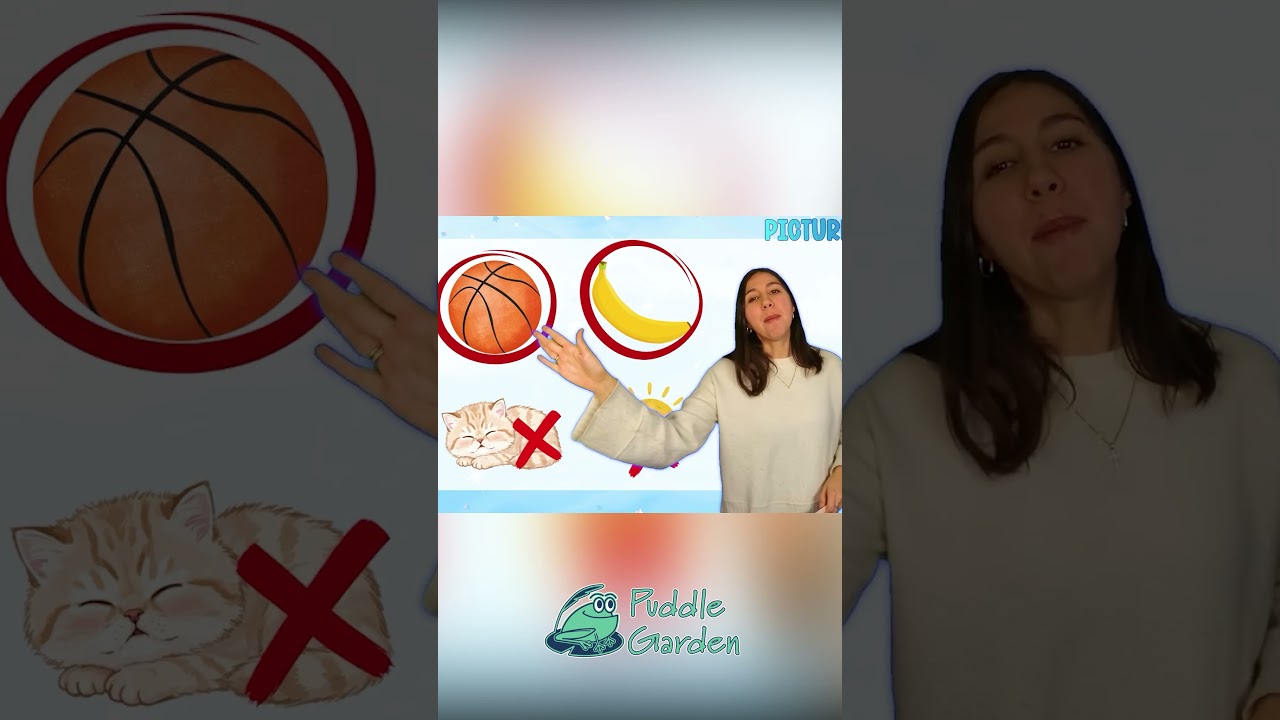 Упражнения по фонетике | Забавные звуки букв - Подготовка к детскому саду! 