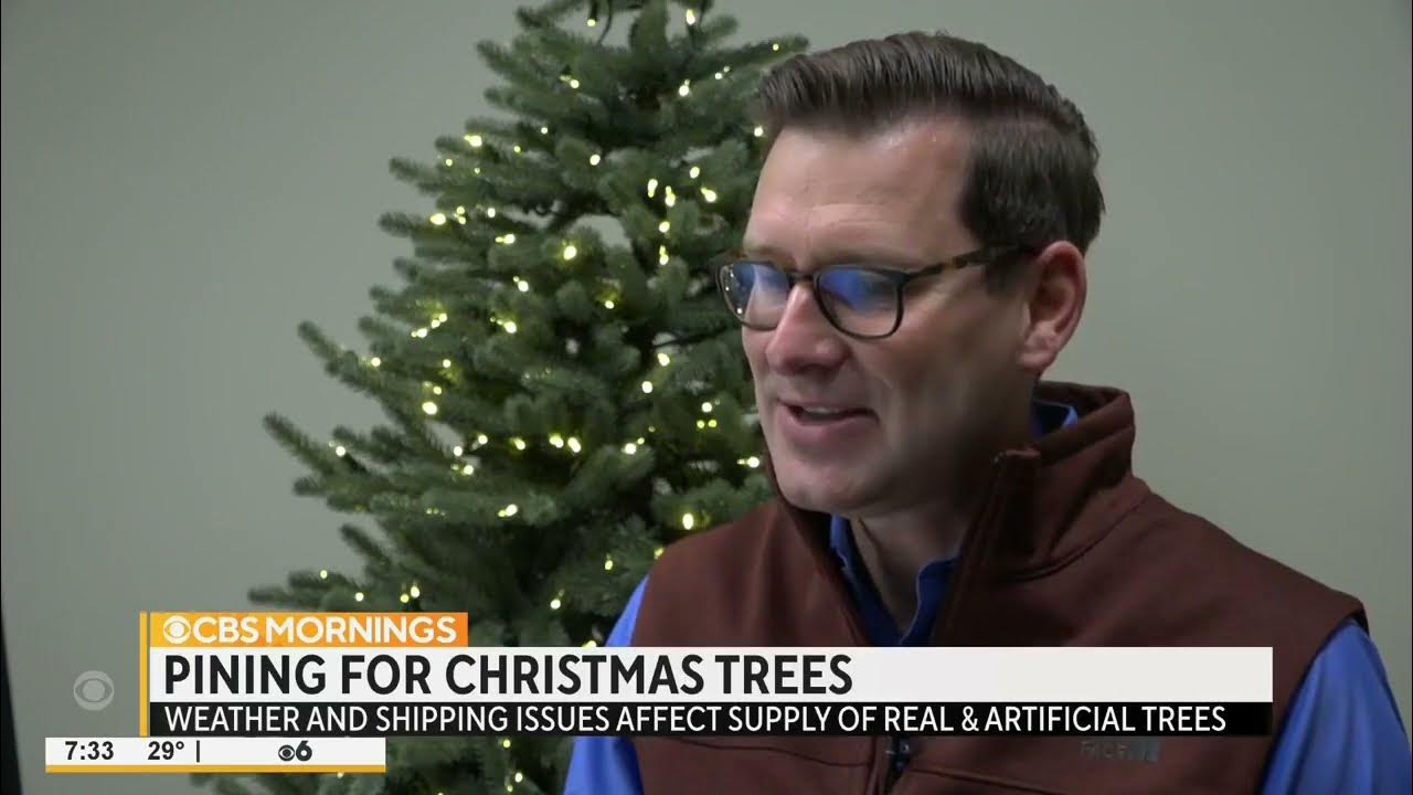 CBS Supply Shortage, Prices Surging By 20 For Artificial Christmas