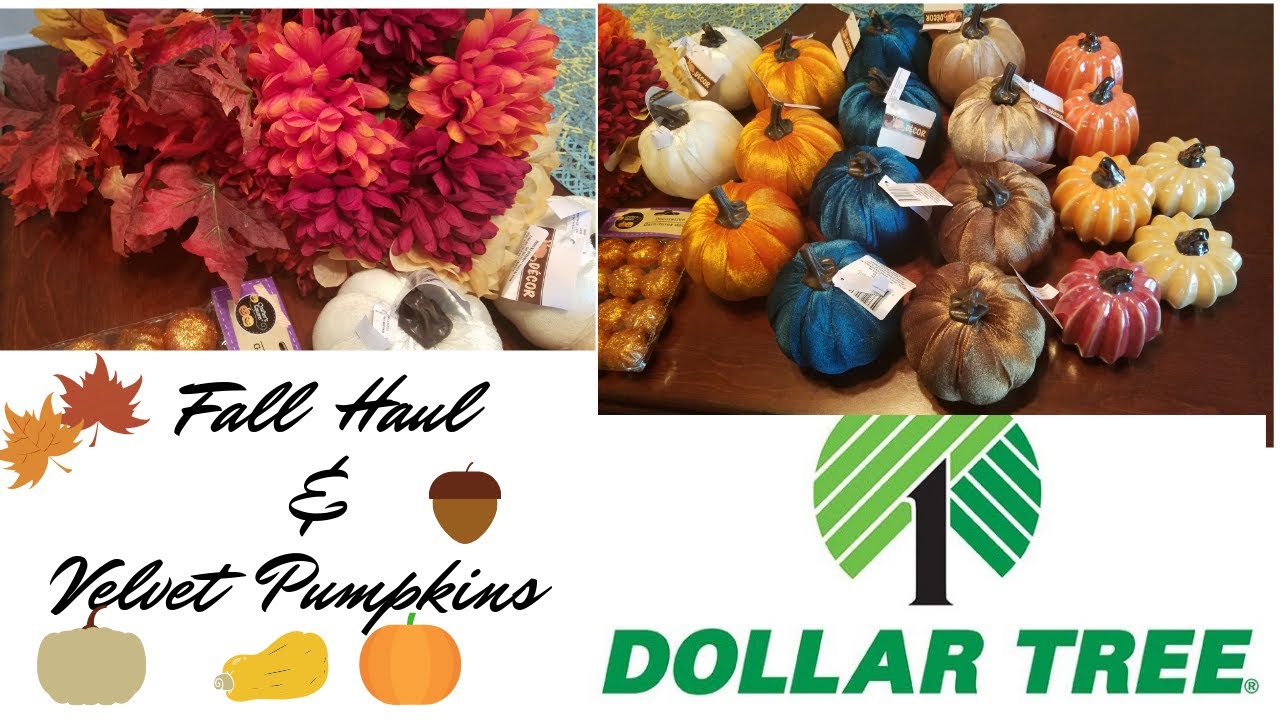 Dollar Tree Haul| 🍁2019 Fall haul and Velvet Pumpkins 🎃