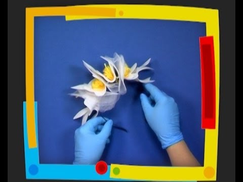 ჯადოსნური ხელები - თმის სამაგრი