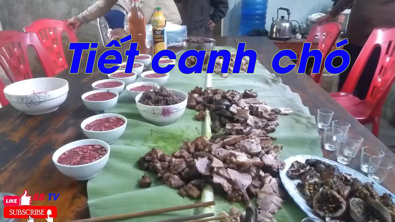 cách nấu thịt chó của người miền bắc - YouTube