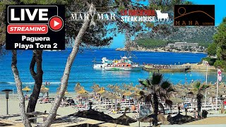 🌞 Live Webcam Paguera Tora Beach | 4K UHD | 24/7 | Mallorca #Stream #Livestream #Mallorca #Balearics