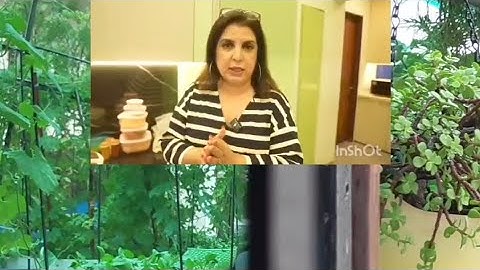 Bhuvan Bam's Aur Farah Khan Mam ke Andaaz Vada pav recipe#5minute  me banne wala vada pav@