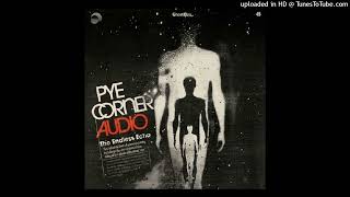 Pye Corner Audio  -  Counting the Hours