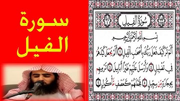 بصوت الشيخ محمد اللحيدان سورة الفيل ورتل القران ترتيلا